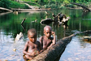 Papua Kombai – Tree people